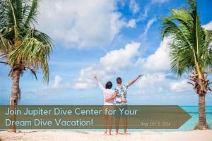 Couple of a dream dive vacation stood on a beach with palm trees