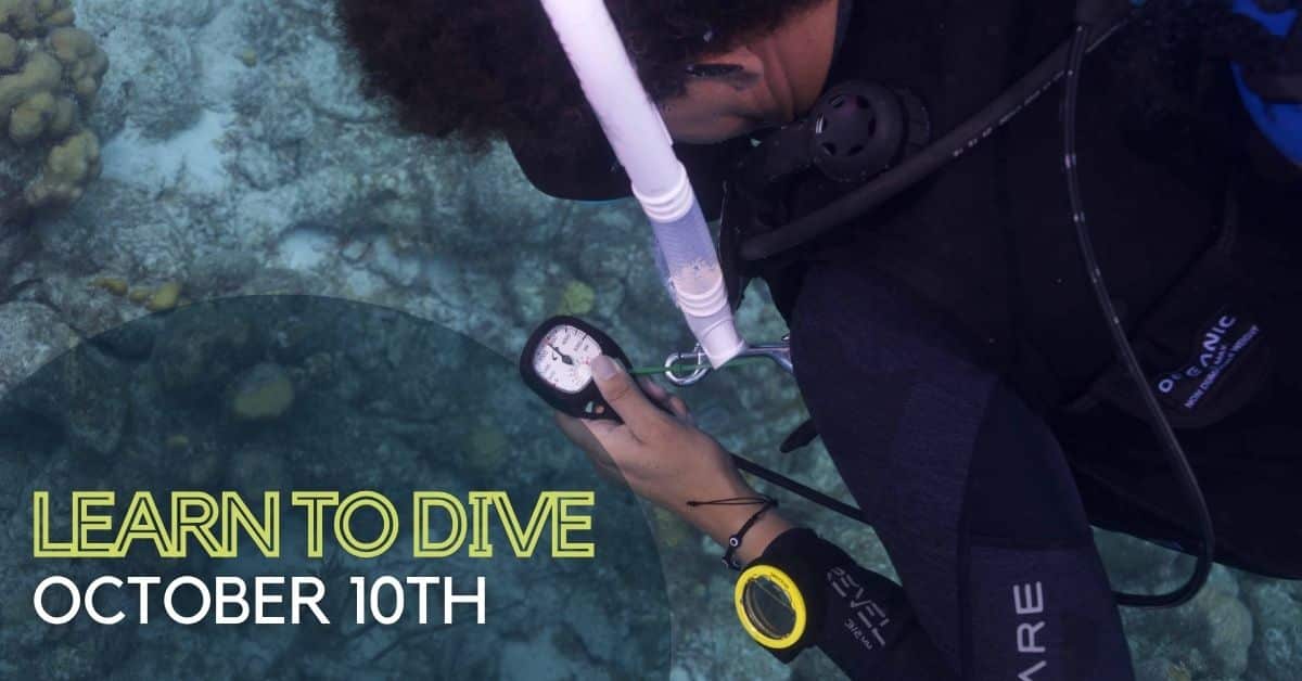 Diver looking their gauge underwater