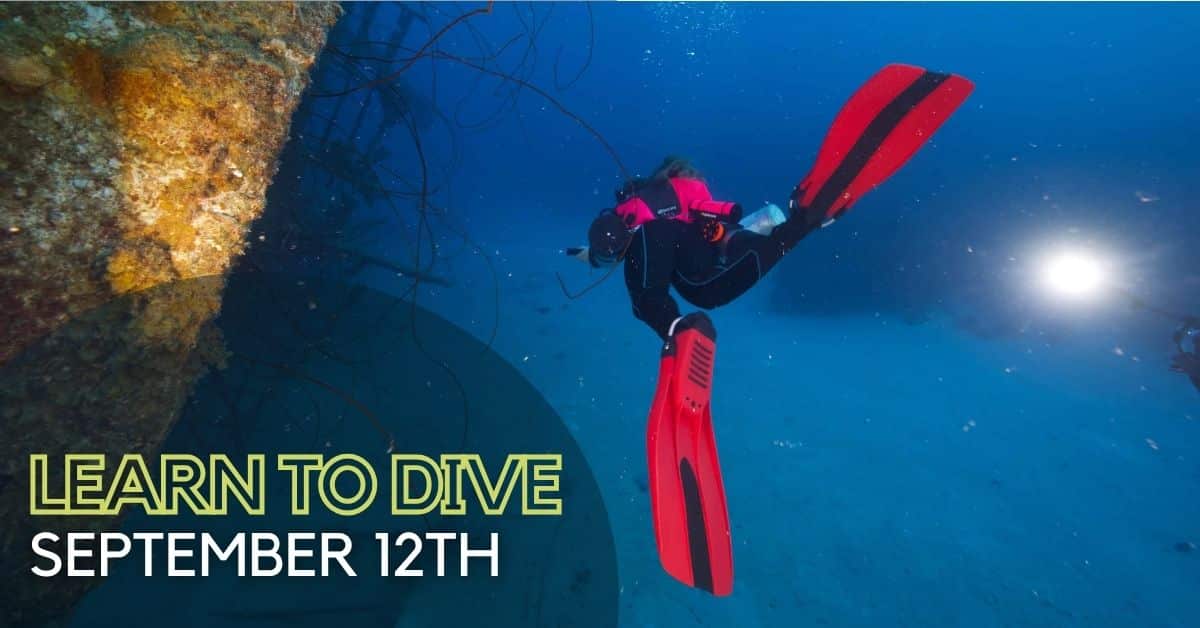 Diver in bright fins swimming away over sand