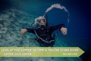 Diver making bubble rings